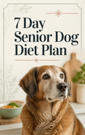 7 Day Senior Dog Diet Plan